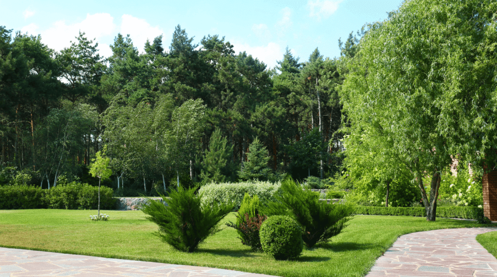 seasonal nature moments (1)