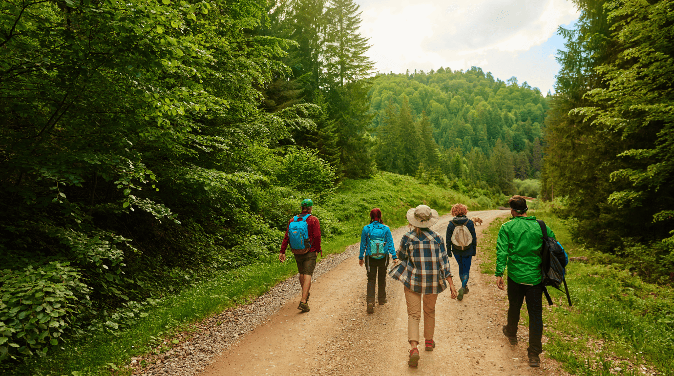 forest walks and nature rituals